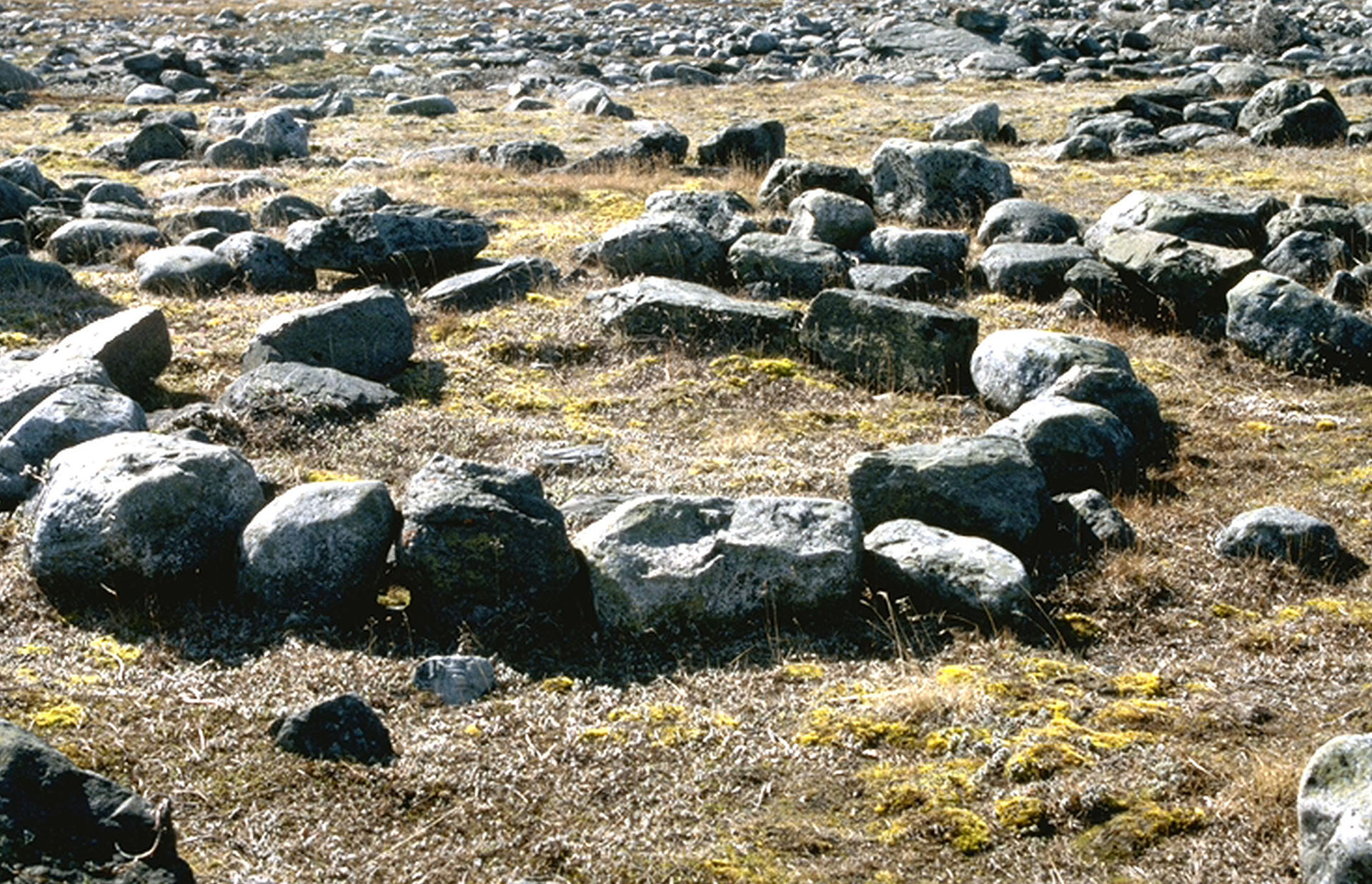 Zeltring in der Arktis von der Thule-Kultur - Foto: Ansgar Walk